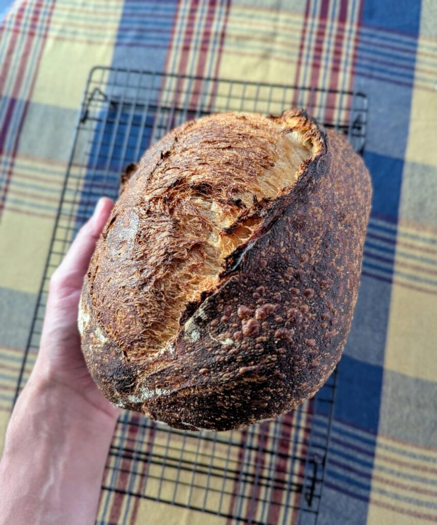 Perfect loaf: 25% whole Einkorn