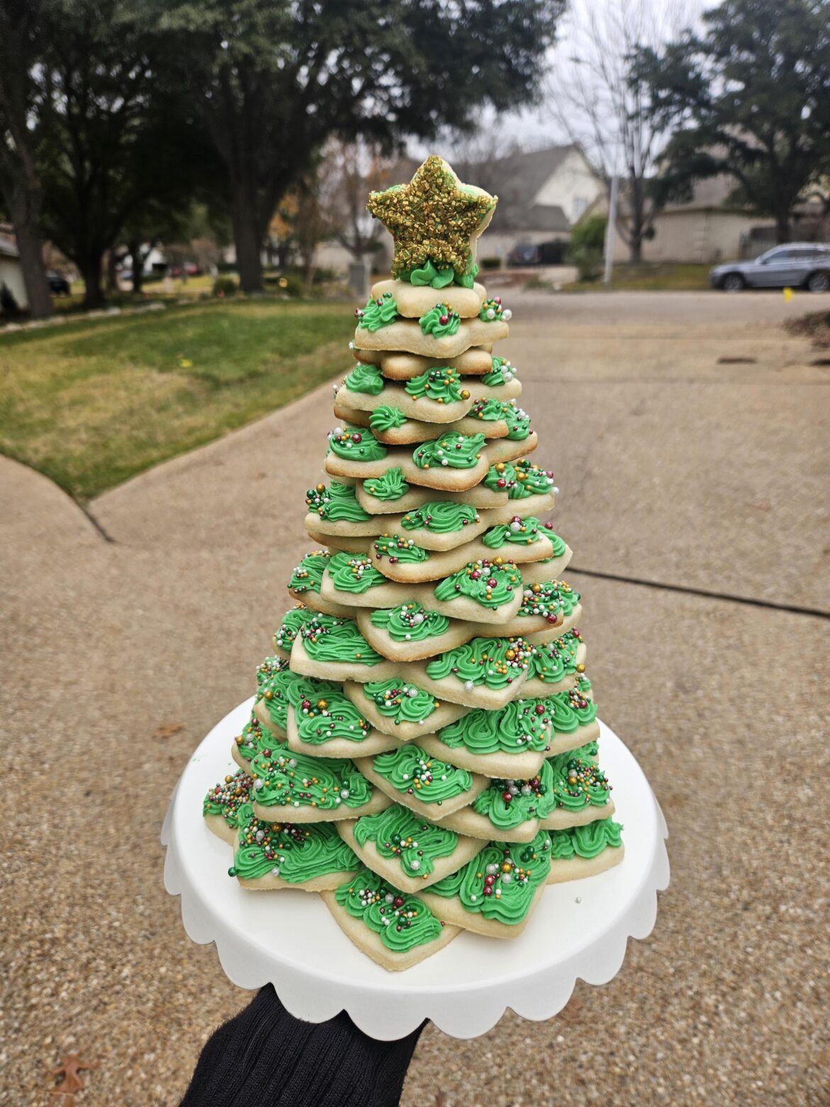 Merry Christmas Cookie!