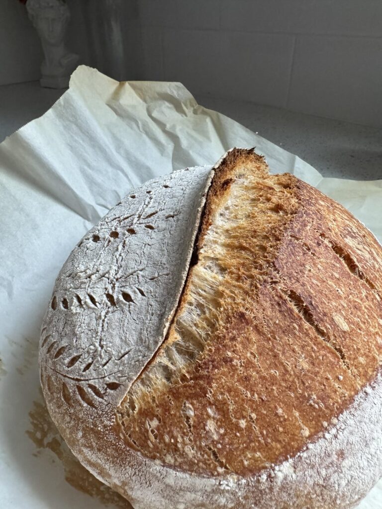 I got my sourdough groove back! I got my sourdough groove back!
