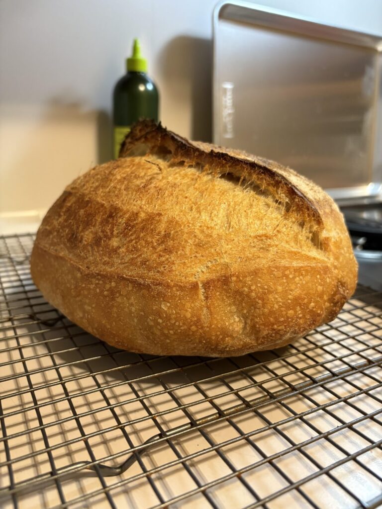 Thanks to everyone who told me to keep my starter!