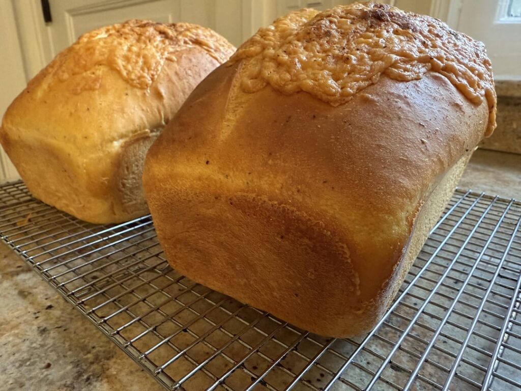 Annual cheddar old bay loaf!