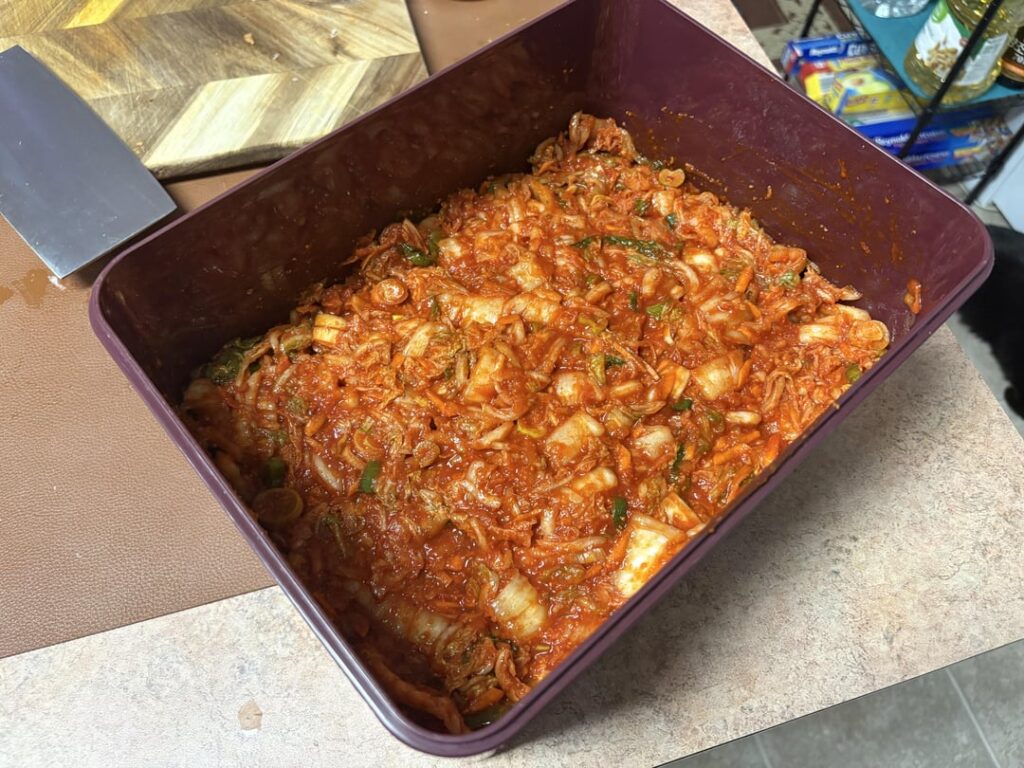 made some kimchi and acorn jelly!