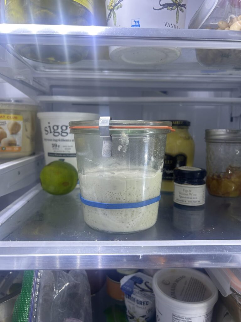 Update: I didn’t kill the starter!I made my first loaf! Thank you!