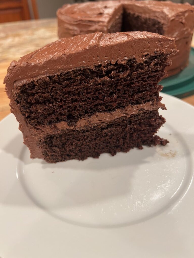 Decadent Chocolate Cake with Chocolate Fudge Icing
