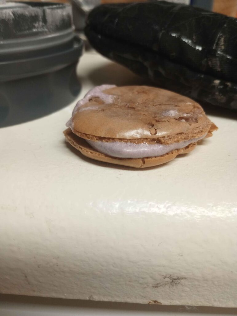 My partner made their first macaroons