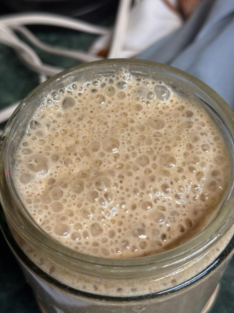 How old is your starter and what is its name?