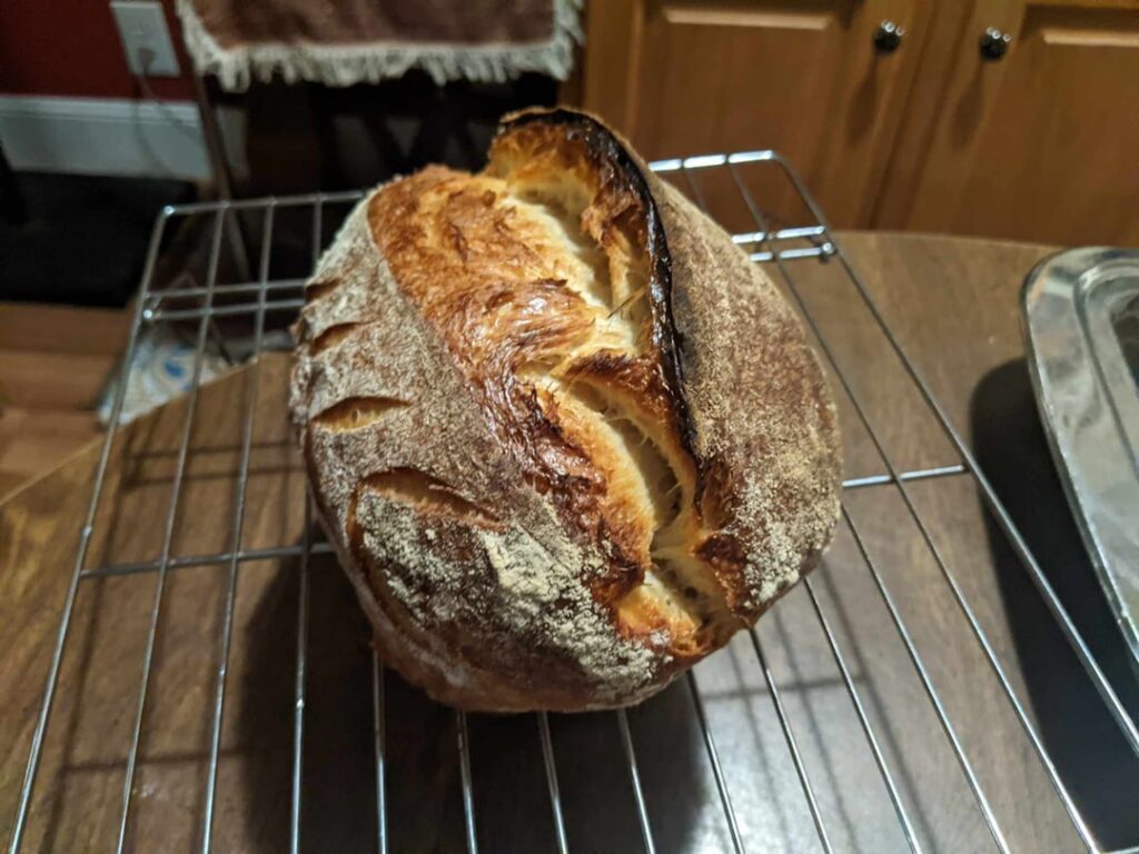 My first Sour Dough bread. I made my own starter with 50g of King Arthur Bread flour and 50g of water and fed for 13 days. How did I do??