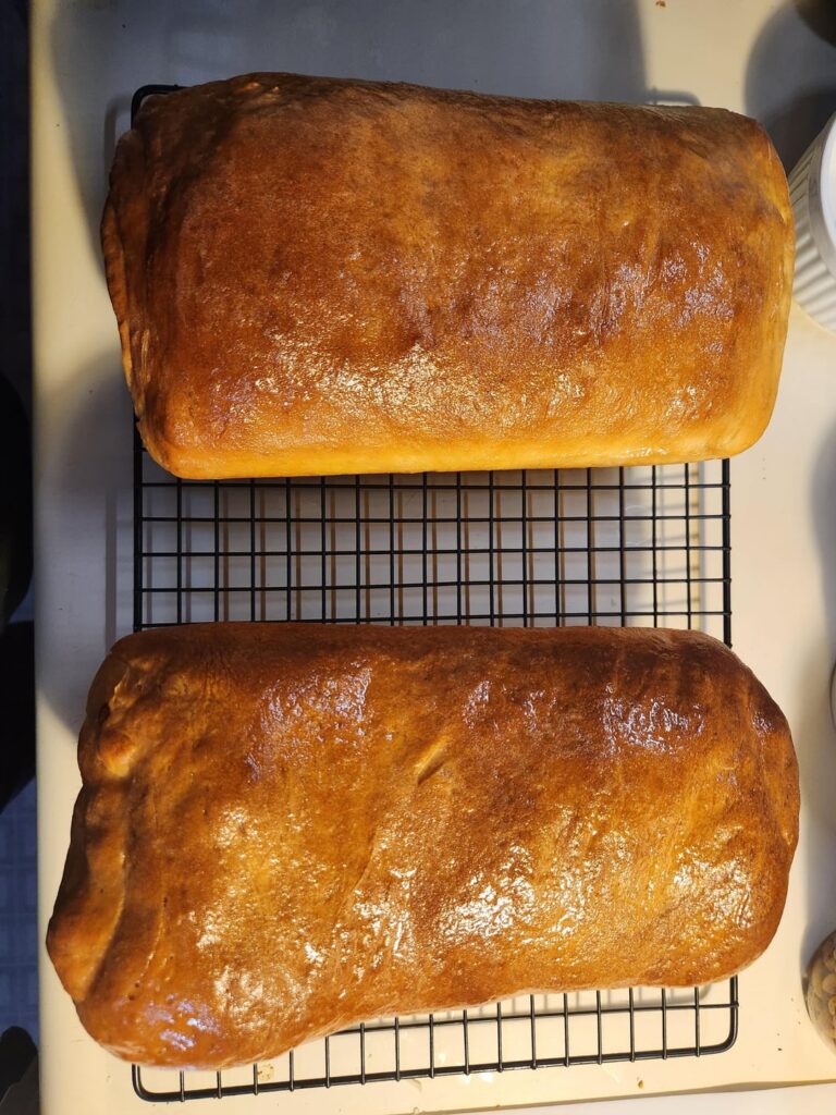 One regular and one cheddar bacon.