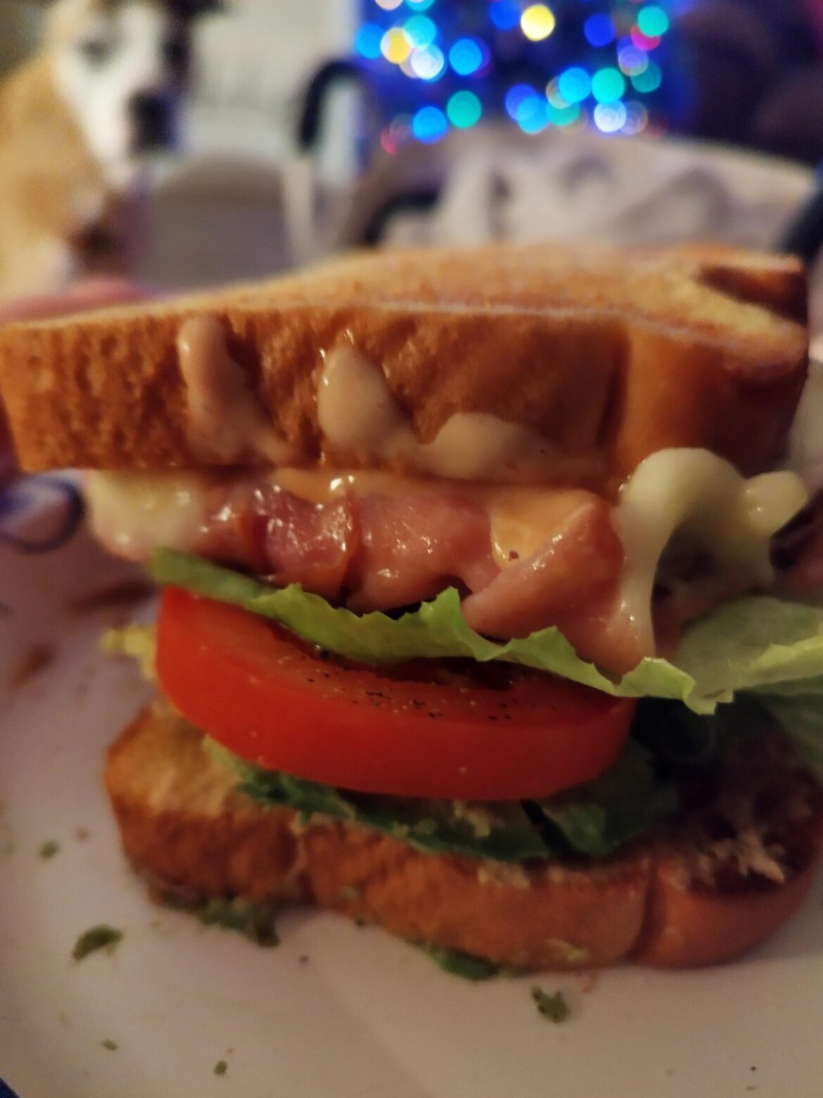 Midnight Scooby sandwich