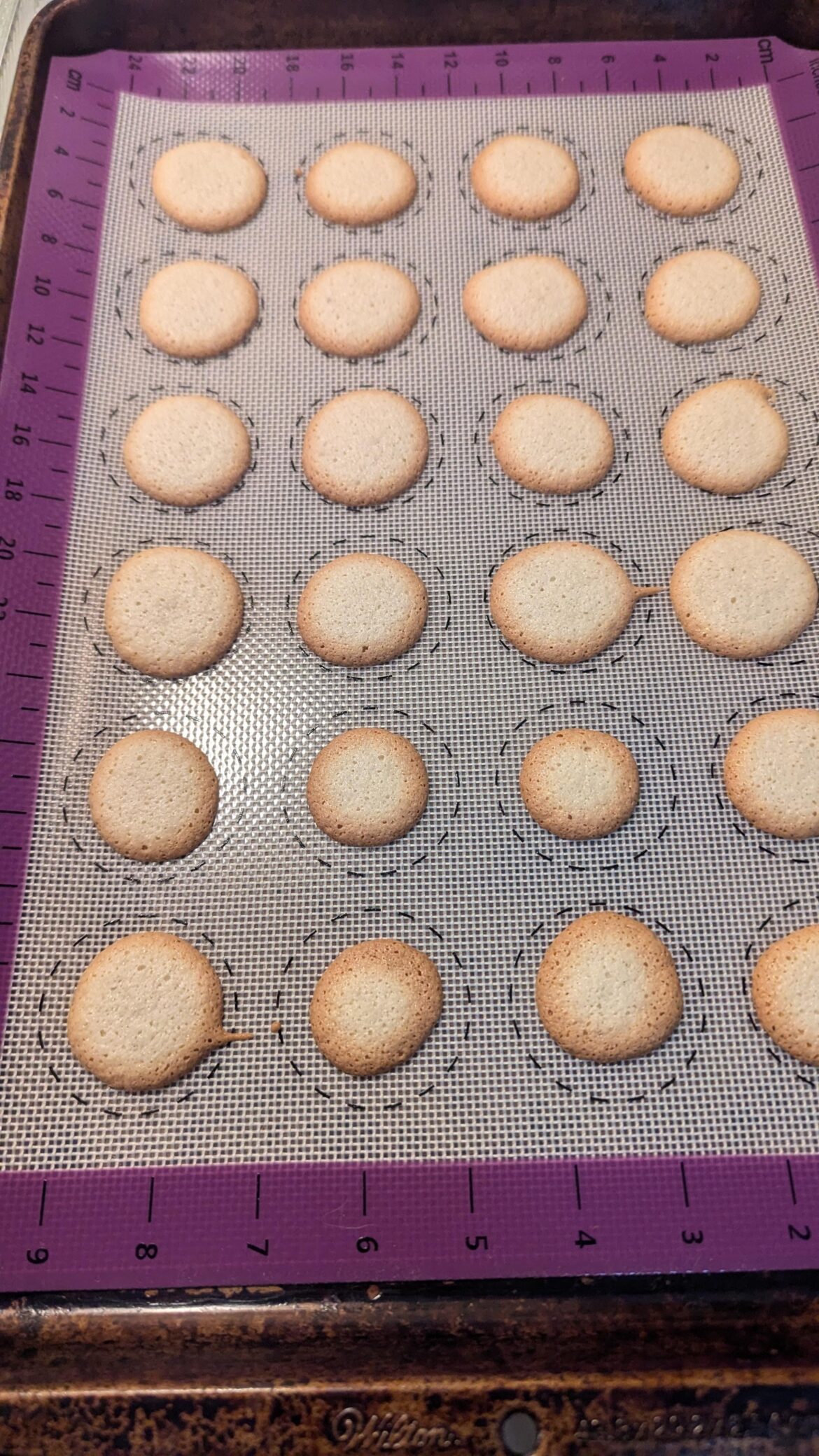 What did I do wrong?