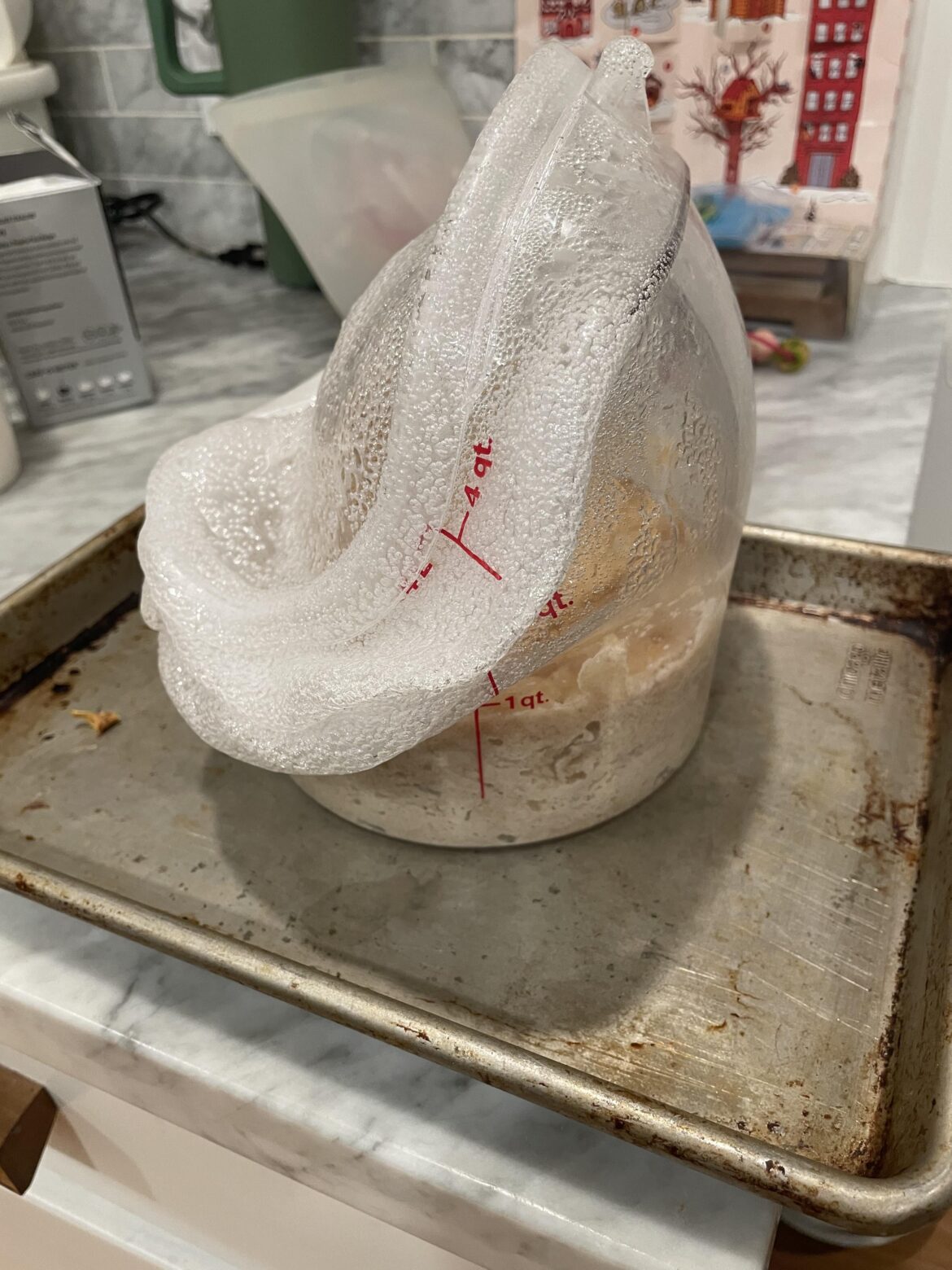 Hermetically sealed levain / terrarium