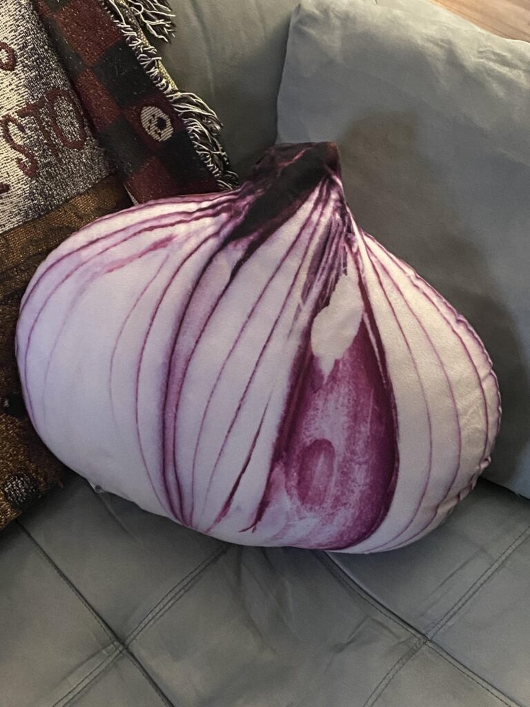 I thought this subreddit would appreciate this large red onion pillow plush I thrifted