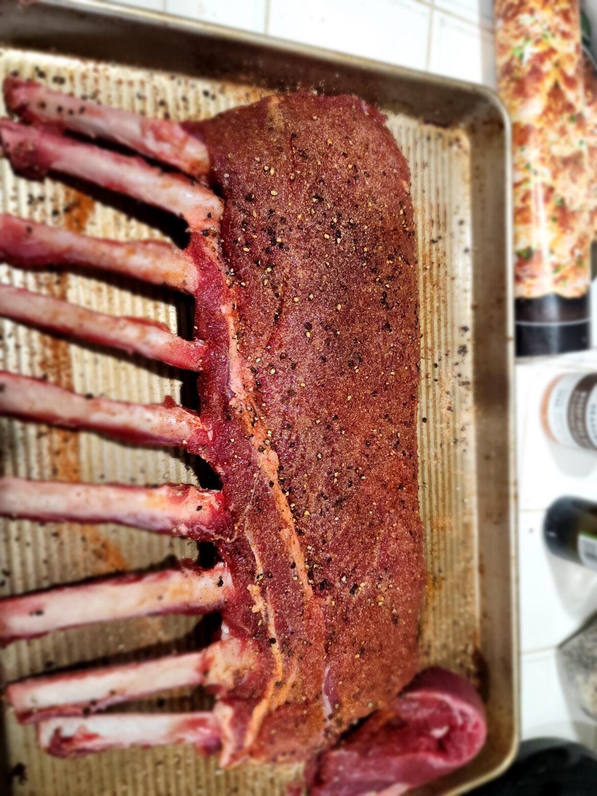 Frenched rack of elk