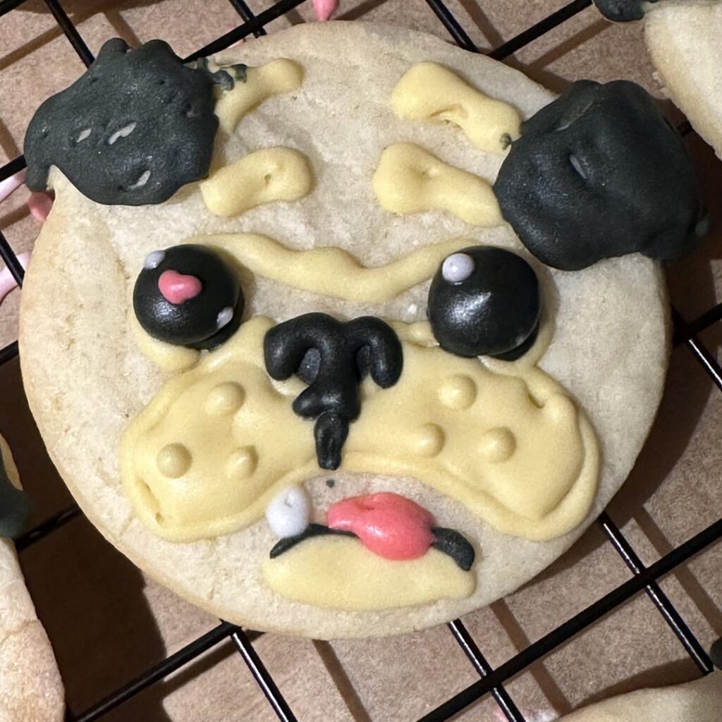 1st attempt at decorating cookies