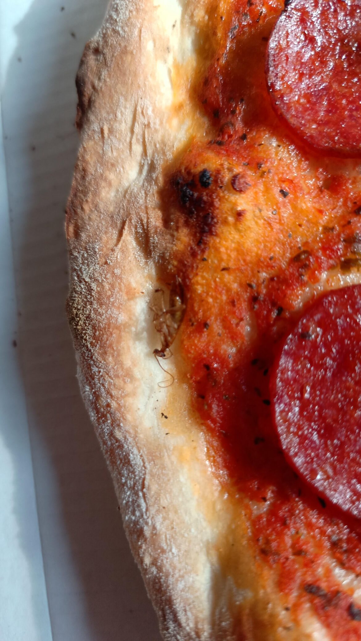 Had a roach baked on my pizza