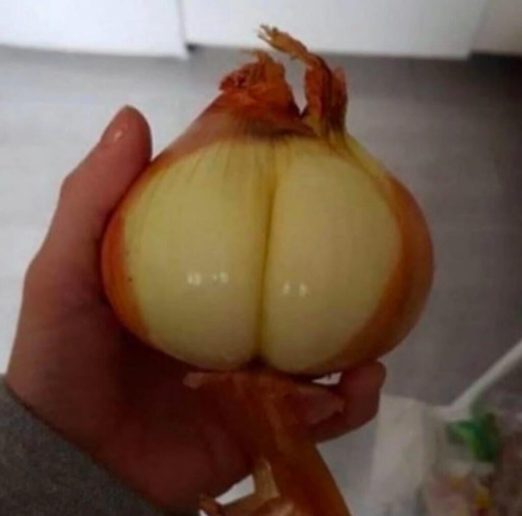 Rare cheeked up onion