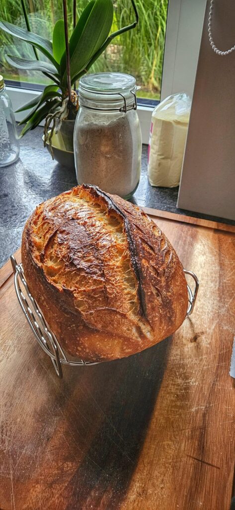 My sourdough after 2 years of not baking