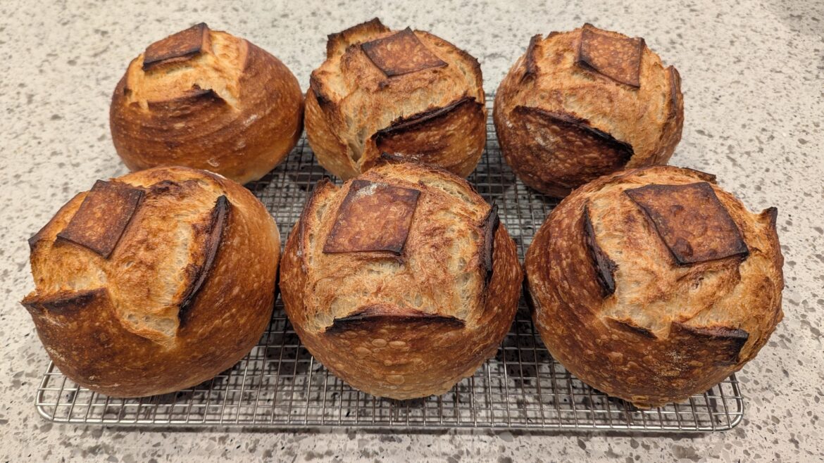 Sourdough bread bowls