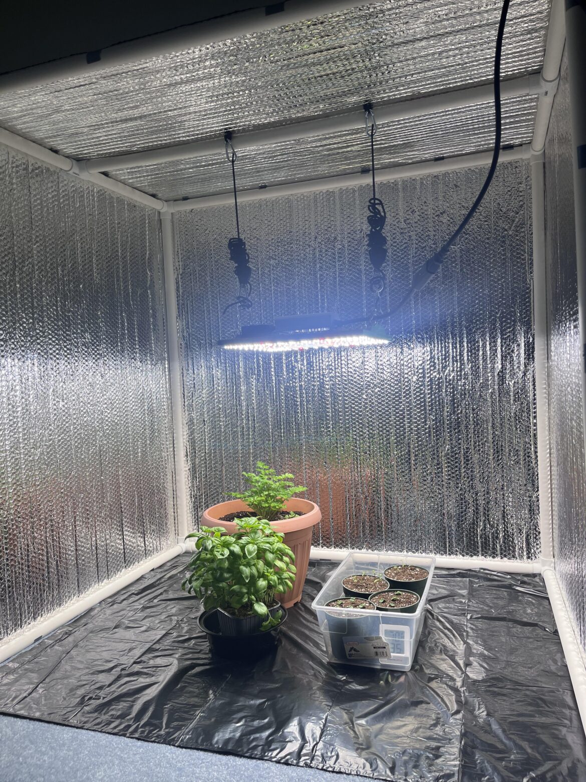 I just finished building my homeade PVC grow tent for my seedlings but I need help setting up my grow light