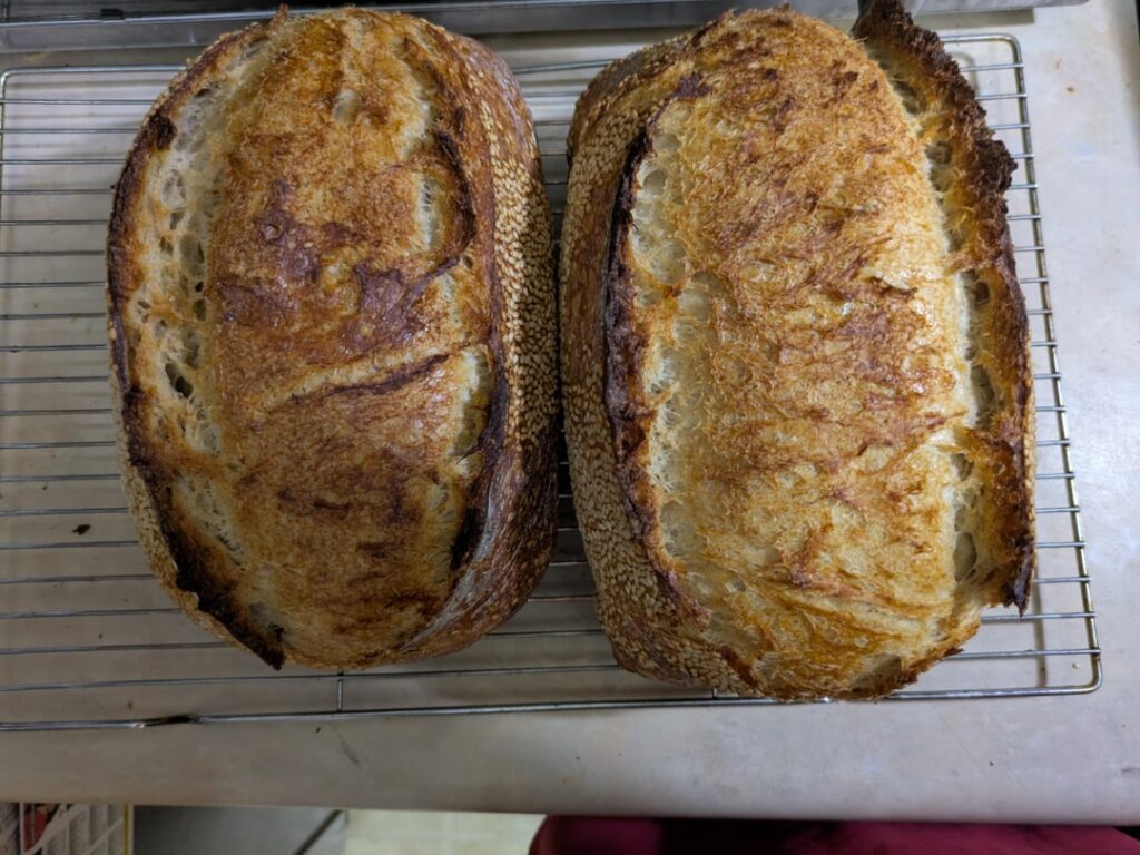 It's official. I've converted to baking my regular recipe in loaf pans instead of a Dutch oven