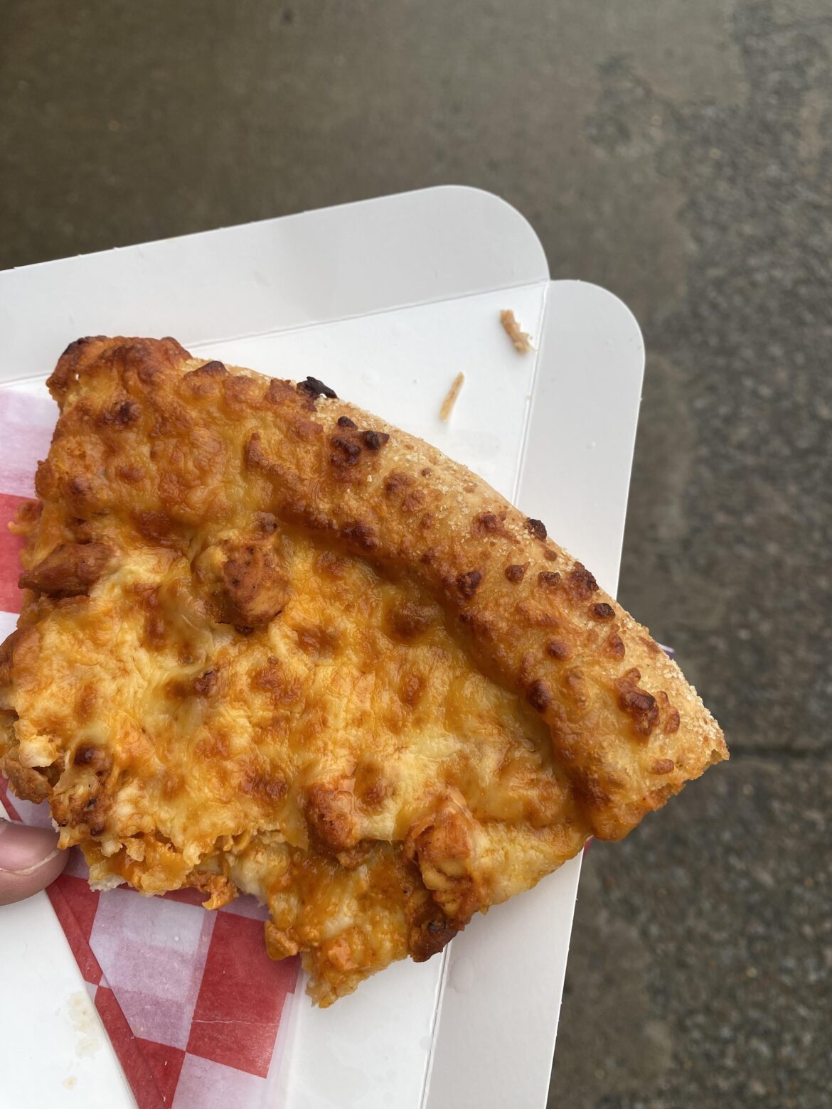 School pizza had fucking bones in it