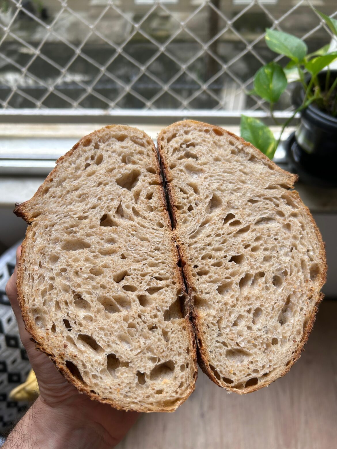 Trying to perfect my crumb