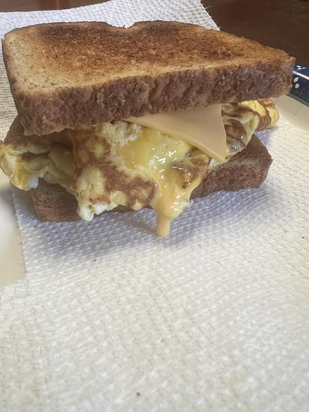 Egg and cheese sandwich on whole wheat bread