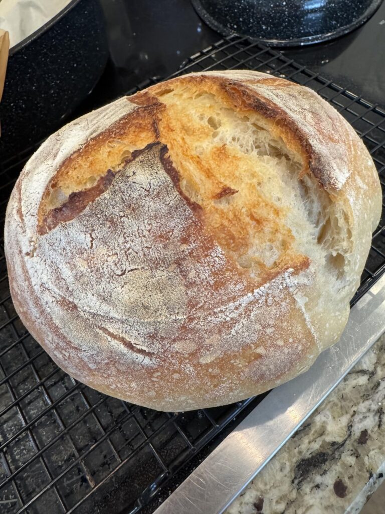 First timer- bulk fermentation timing? First timer- bulk fermentation timing?