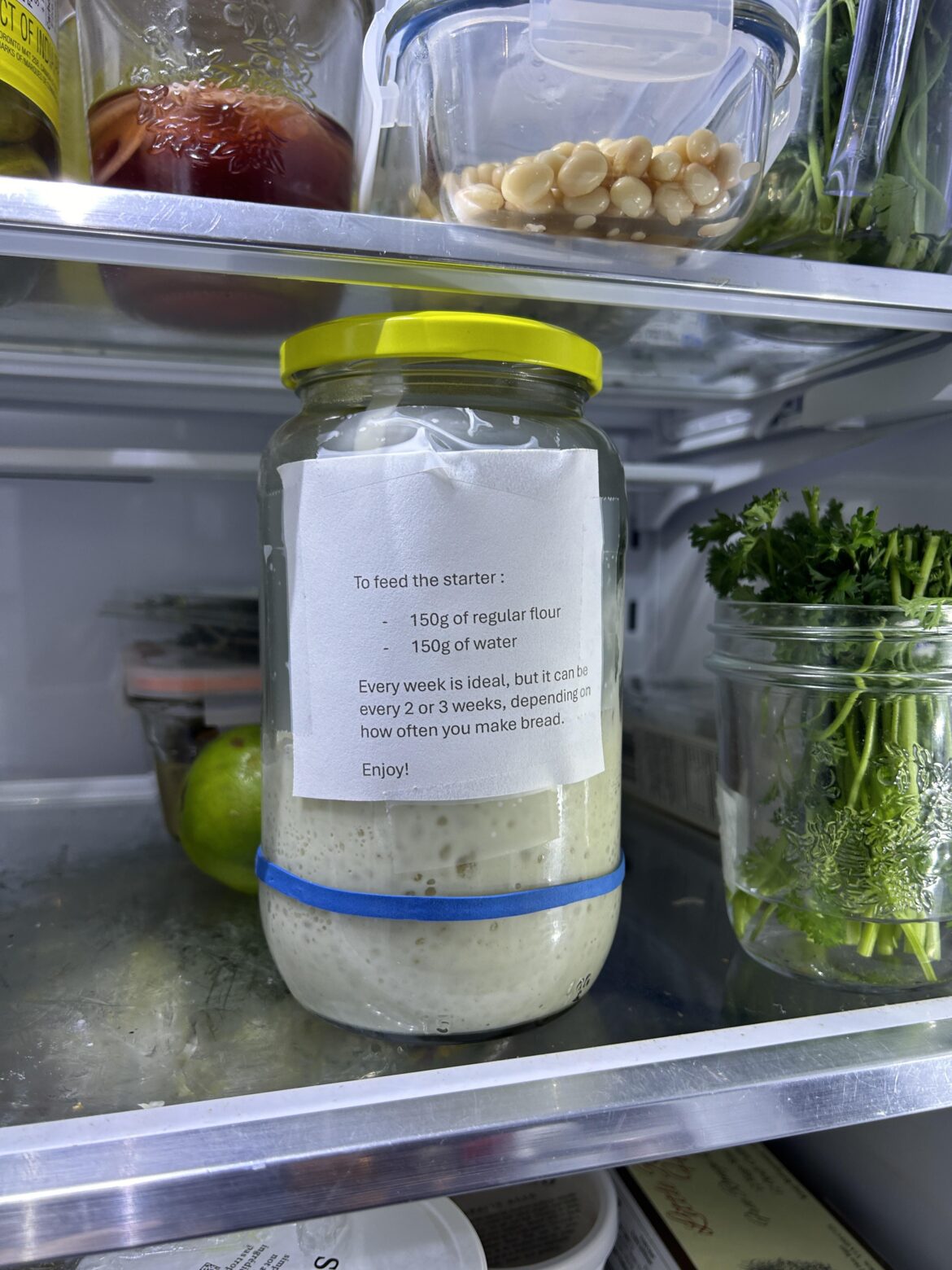 This was gifted to me from my husbands co-workers, please help me not kill it