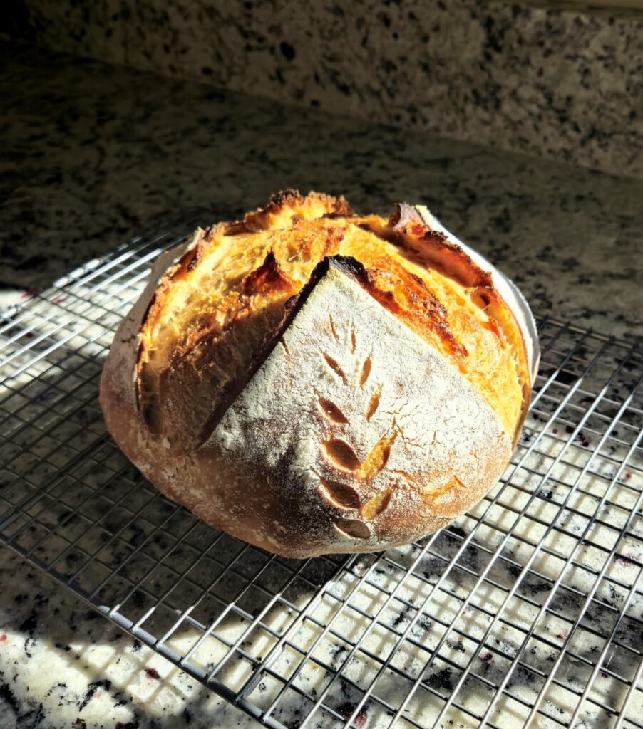 I finally got the bulk fermentation right.