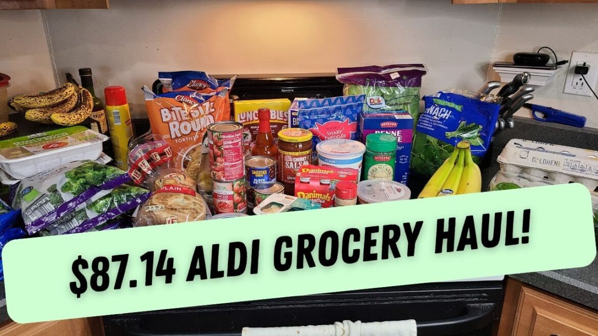 PLANNING FOR THE NEW YEAR! || $87.14 GROCERY HAUL WITH PRICES