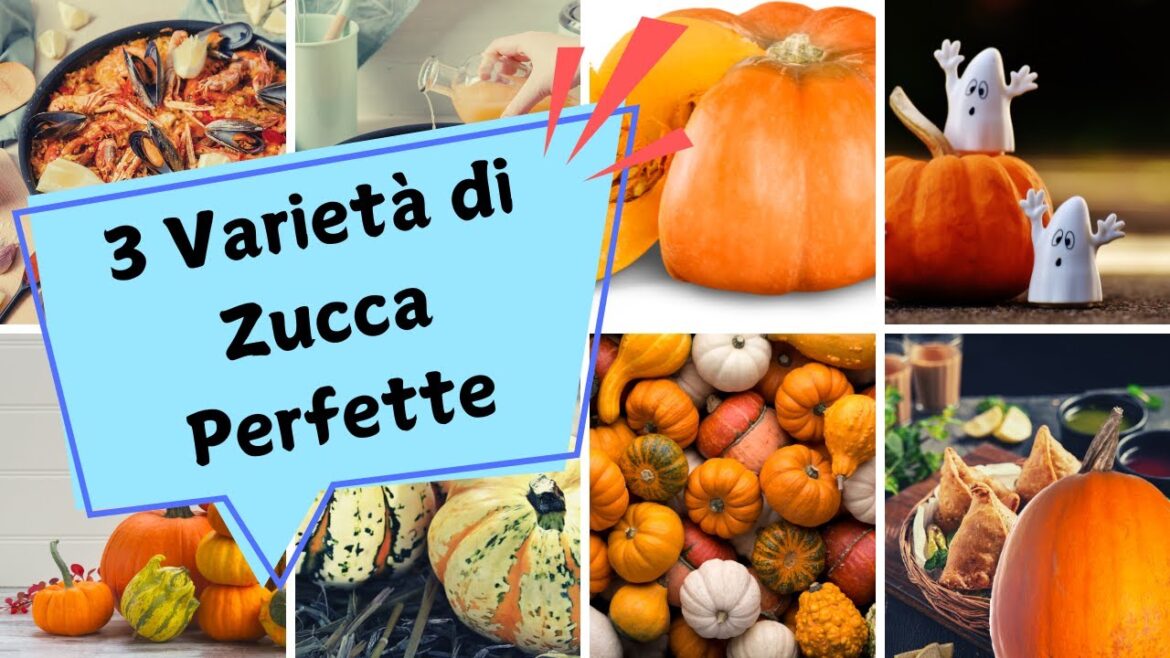 3 Varietà di Zucca Perfette per Iniziare il Nuovo Anno in Cucina 3 Varietà di Zucca Perfette per Iniziare il Nuovo Anno in Cucina