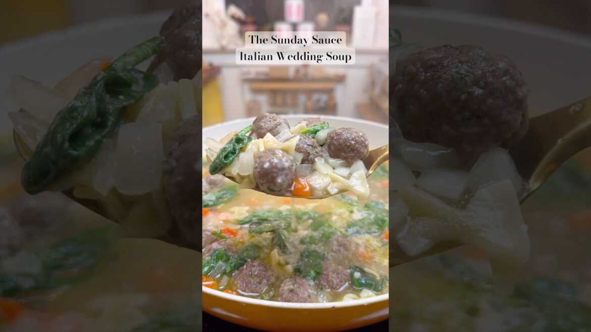 Italian Wedding Soup from scratch… #pasta #shorts #sundaysauce Italian Wedding Soup from scratch… #pasta #shorts #sundaysauce