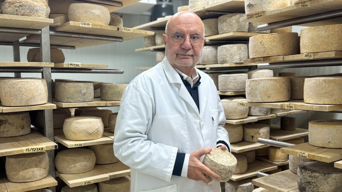 Fotoğrafçılıktan Artizanal Peynir Üretimine | Çanakkale Gemedere Peynirleri Fotoğrafçılıktan Artizanal Peynir Üretimine | Çanakkale Gemedere Peynirleri