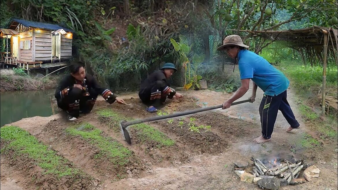 2 months of vegetable gardening, raising livestock, harvesting and selling at the market| Ly Thi Thi