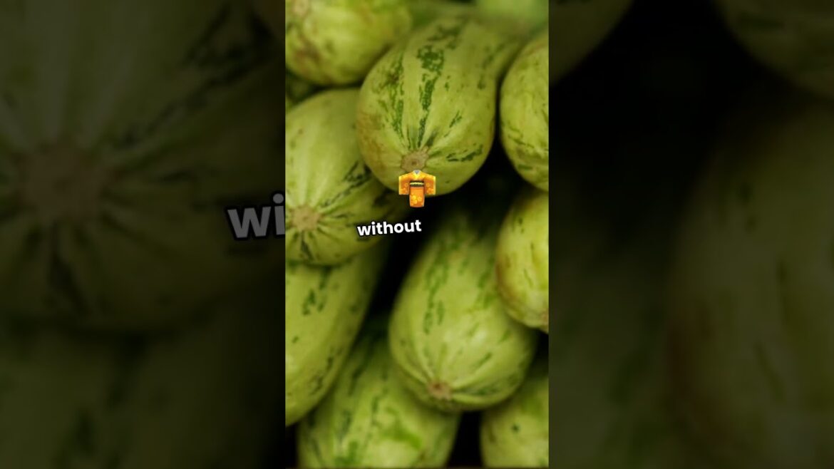 Top 5 Italian Dishes You Must Try in Each Region