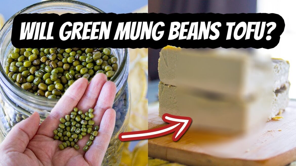 Will GREEN Mung Beans TOFU? | Mary’s Test Kitchen Will GREEN Mung Beans TOFU? | Mary's Test Kitchen