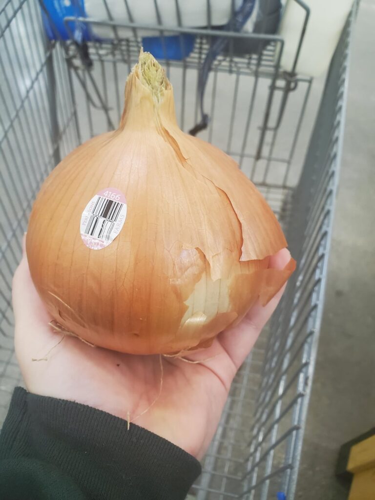 This big boy I found at Walmart a while back