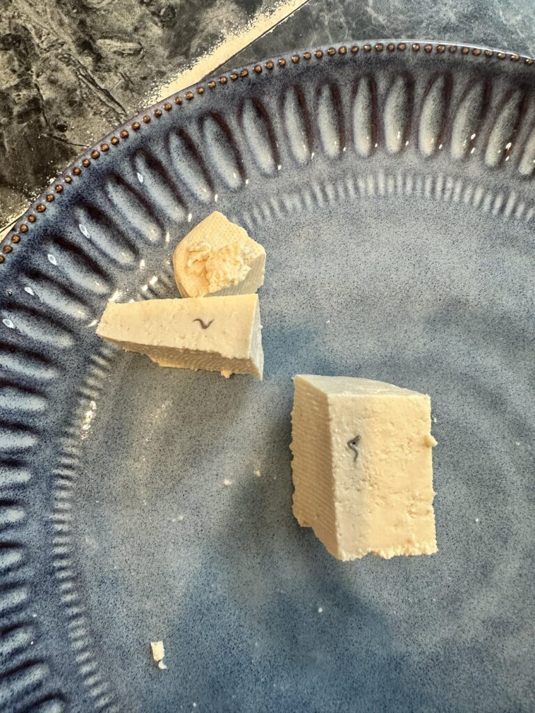 Has anyone encountered this with tofu? Unsure what it is