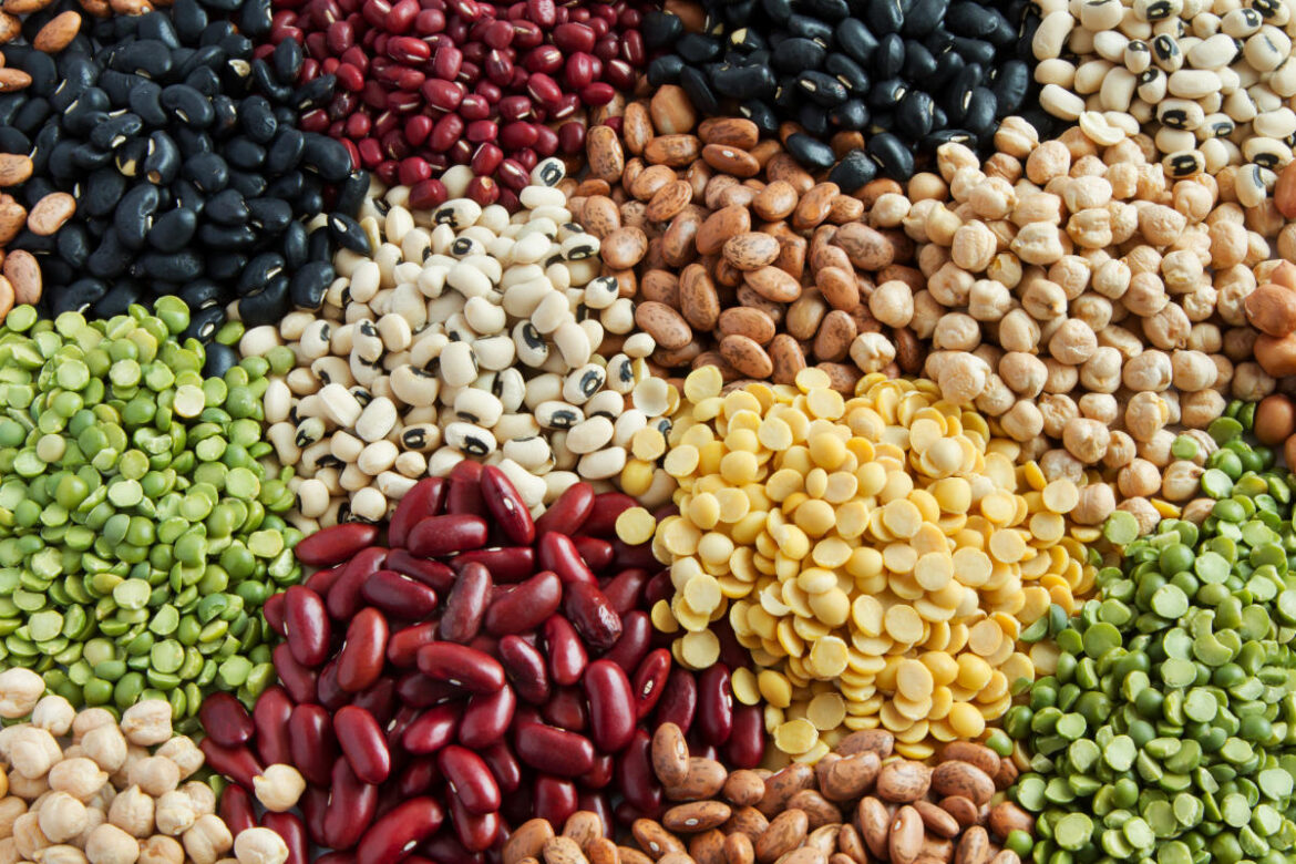 What’s the healthiest bean to eat? 5 types that are nutritionist-approved and how to enjoy them. What's the healthiest bean to eat? 5 types that are nutritionist-approved and how to enjoy them.