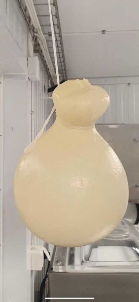 Does anyone know the name of this cheese?