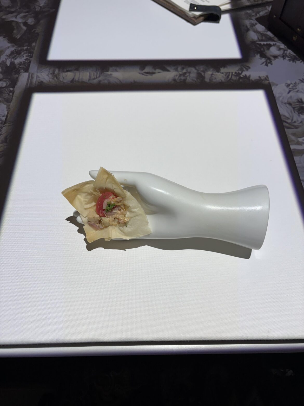 A dumpling on a hand