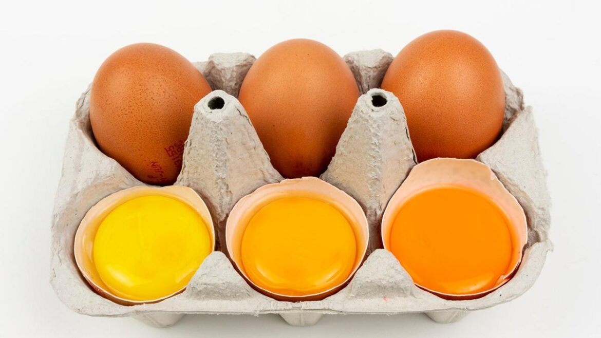Does the color of an egg’s yolk mean anything? Does the color of an egg's yolk mean anything?
