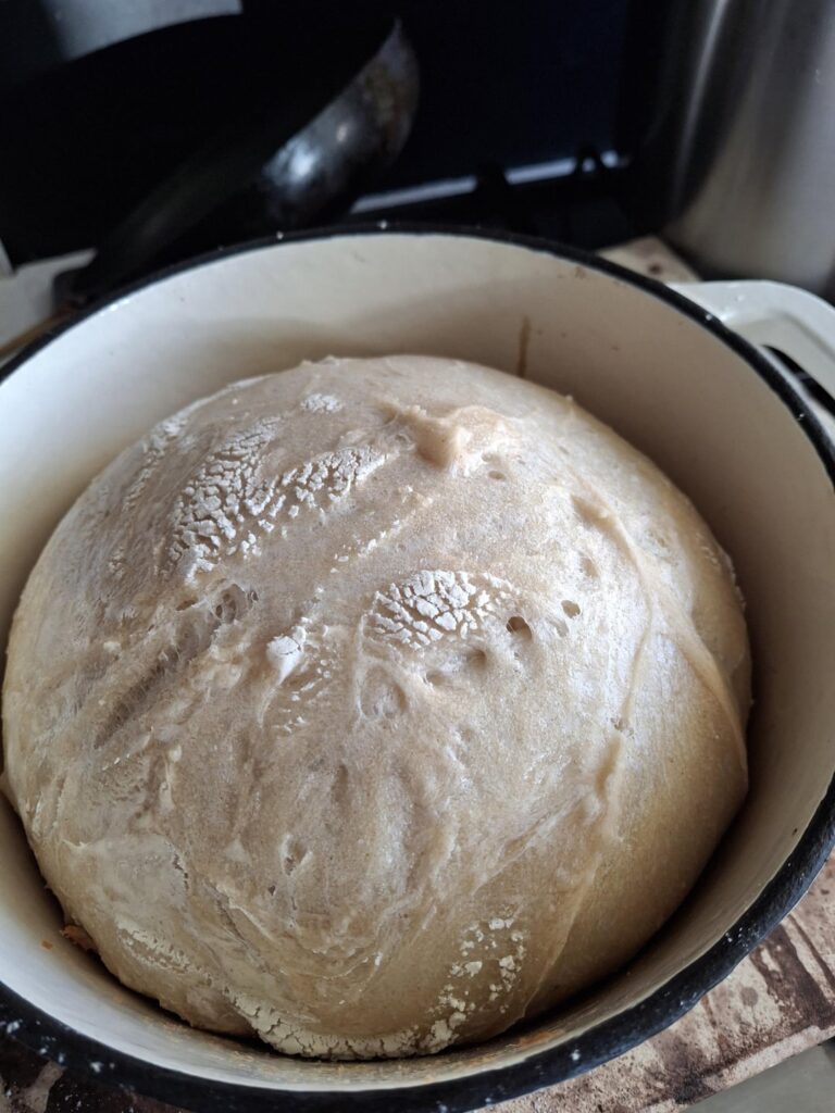 Don't usually post, but wanted to share my first attempt.