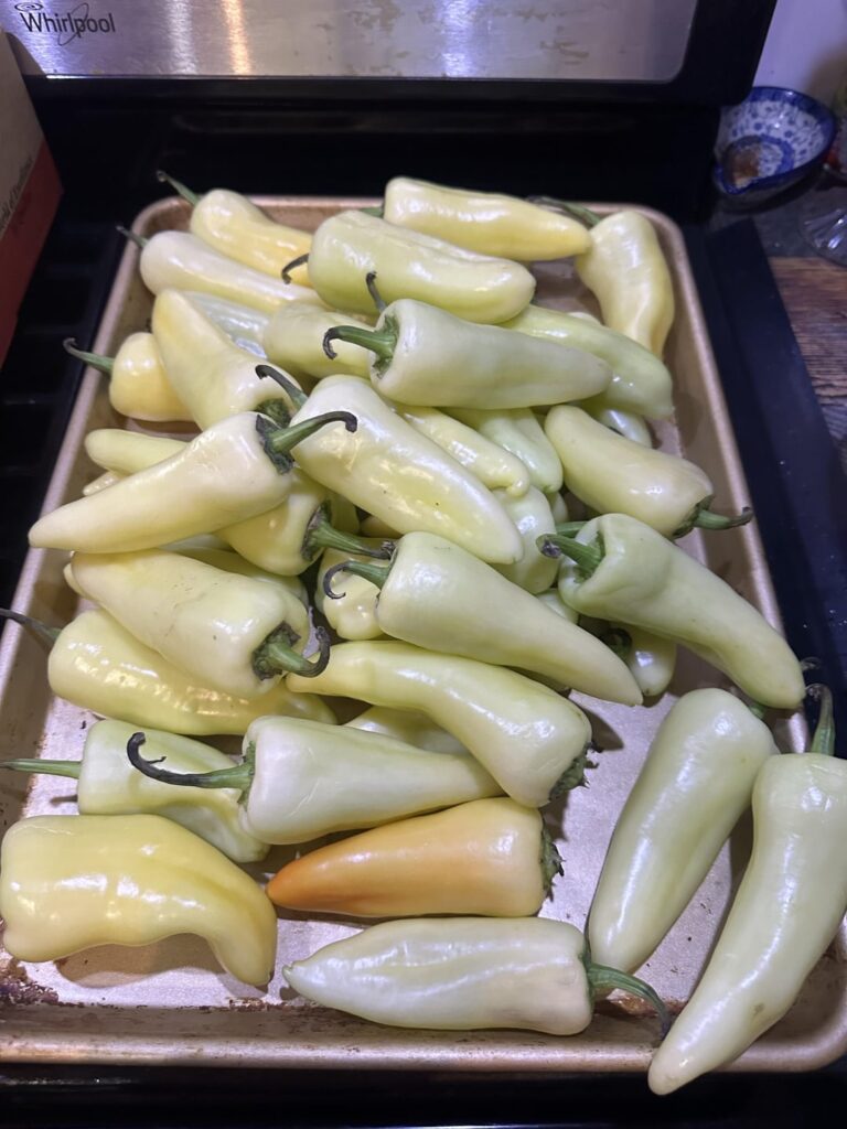 Check out your local produce rescue