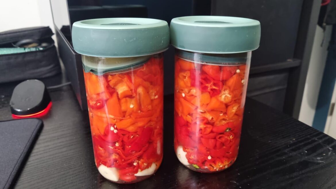 First try at fermentation, let's hope it won't get mold