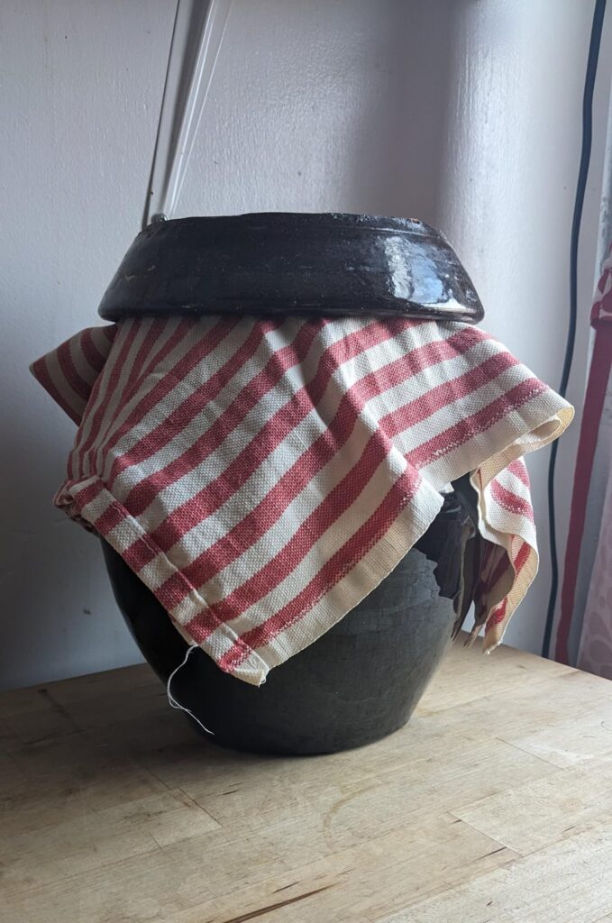 Makgeolli in progress