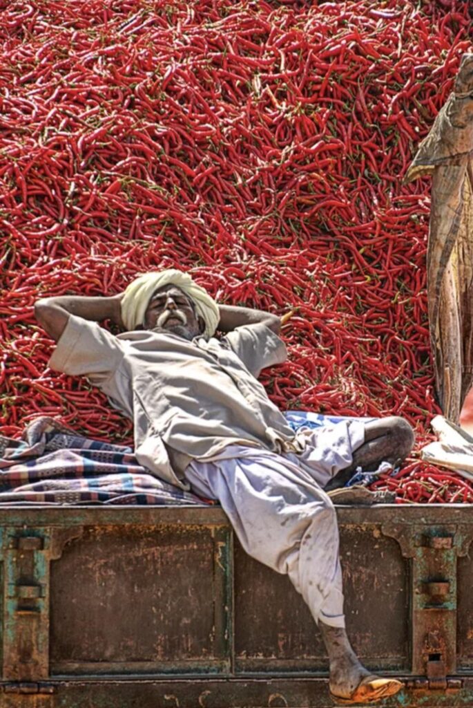 Living the dream?😴💭🌶️