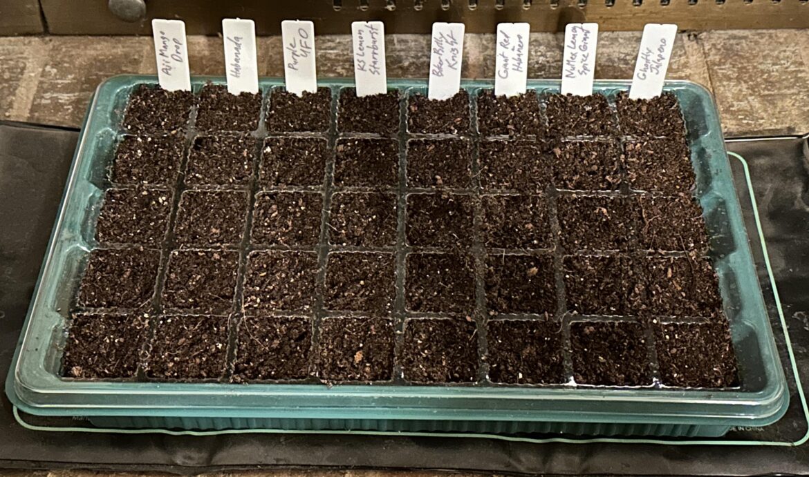 Season 2 up and running Season 2 up and running