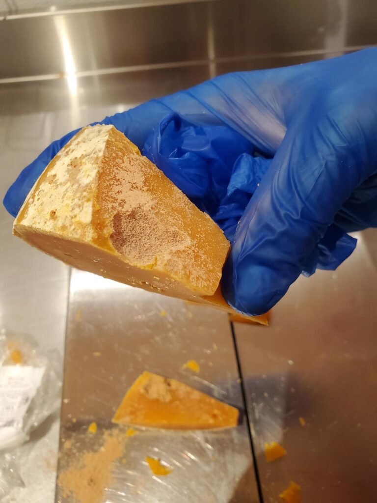 Is this a dead mimolette mite colony?